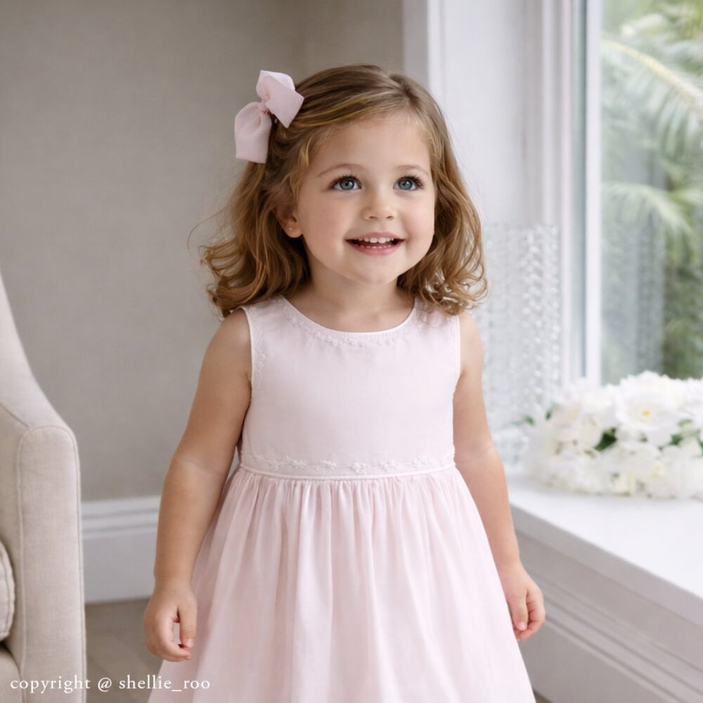 Strasburg Dress NWOT Pink with Satin Sash Embroidery Size 2 Special Occasion